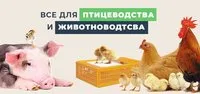 Ящик для перевозки (транспортировки) птицы